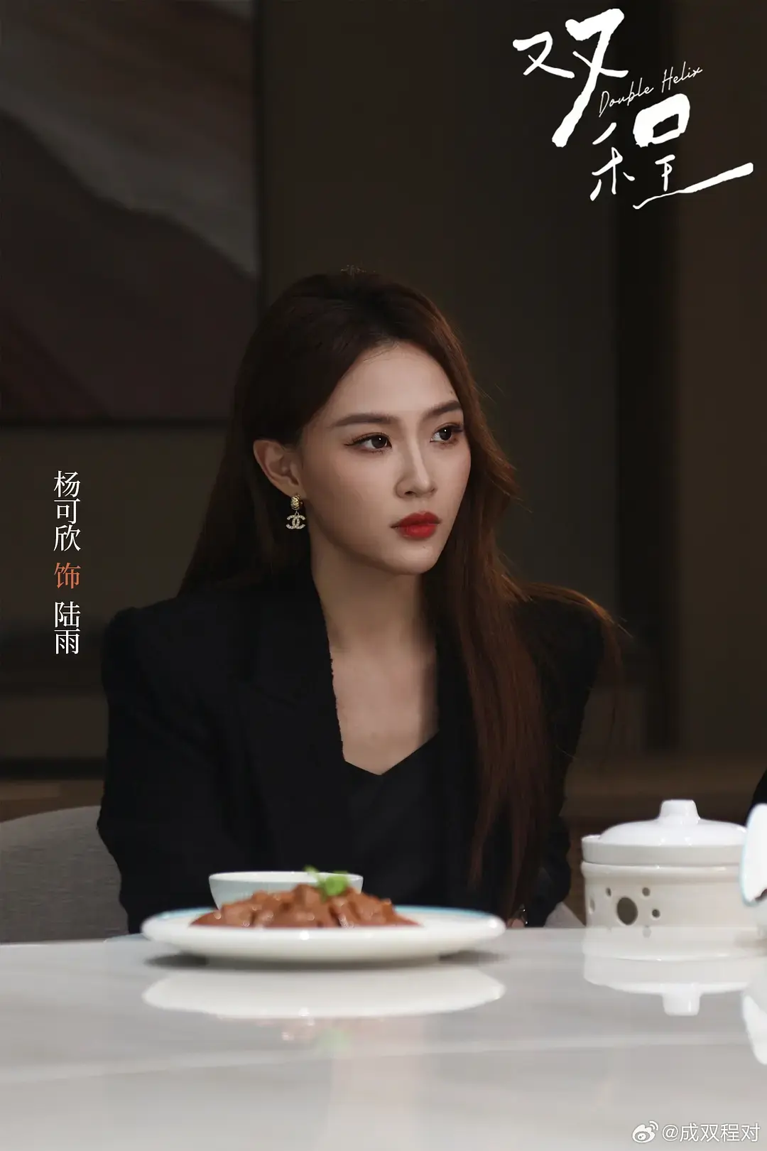 《双程》相关资源图片