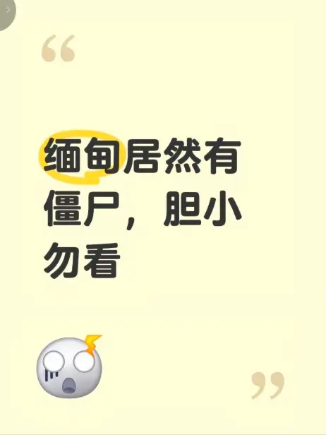 《缅甸僵尸出土事件》高清完整版在线免费播放-揭秘缅北神秘事件真相-缅甸僵尸出土事件视频全程录像