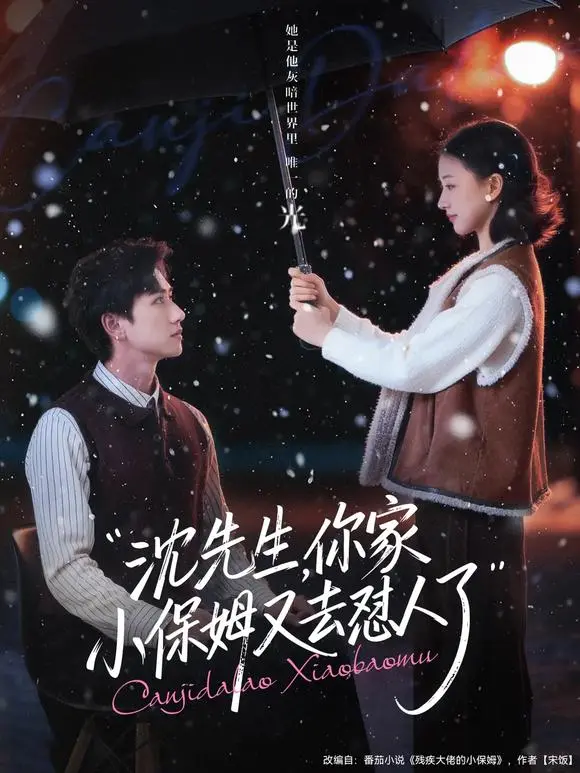 《沈先生，你家小保姆又去怼人了》82集全-陈政阳廖银玥主演短剧免费观看-高清无删减版全集HD在线播放-网盘资源可下载