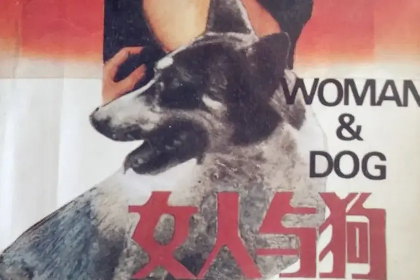 《女人与狗》电影全集中字免费看-欧美《女人与狗》HD 1080P高清无删减在线播放-无广告蓝光资源流畅体验