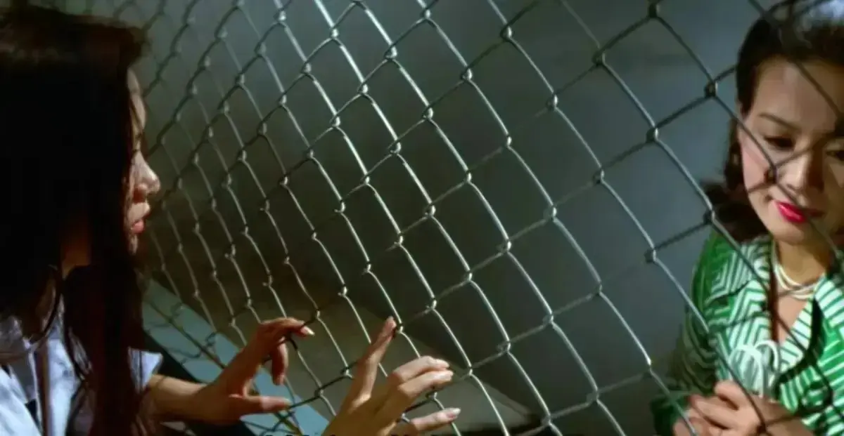 《芦苇地狱》《女子监狱实录》完整版免费在线播放 - 经典禁映《芦苇地狱》孤岛女子监狱黑暗残酷实录 - 《女子监狱实录》1080P高清无删减资源 - 迅雷夸克网盘下载