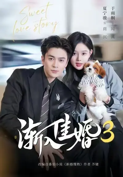 《渐入佳婚3》全集免费在线观看-高清1080P无广告完整版播放-短剧《渐入佳婚3》全集