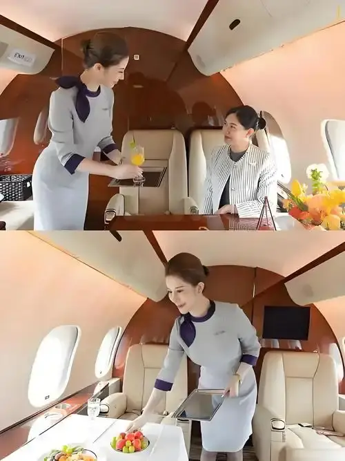 《私人航空/法国航空》未删减版HD高清在线观看-私人航空/法国航空完整版免费播放-无弹窗畅享