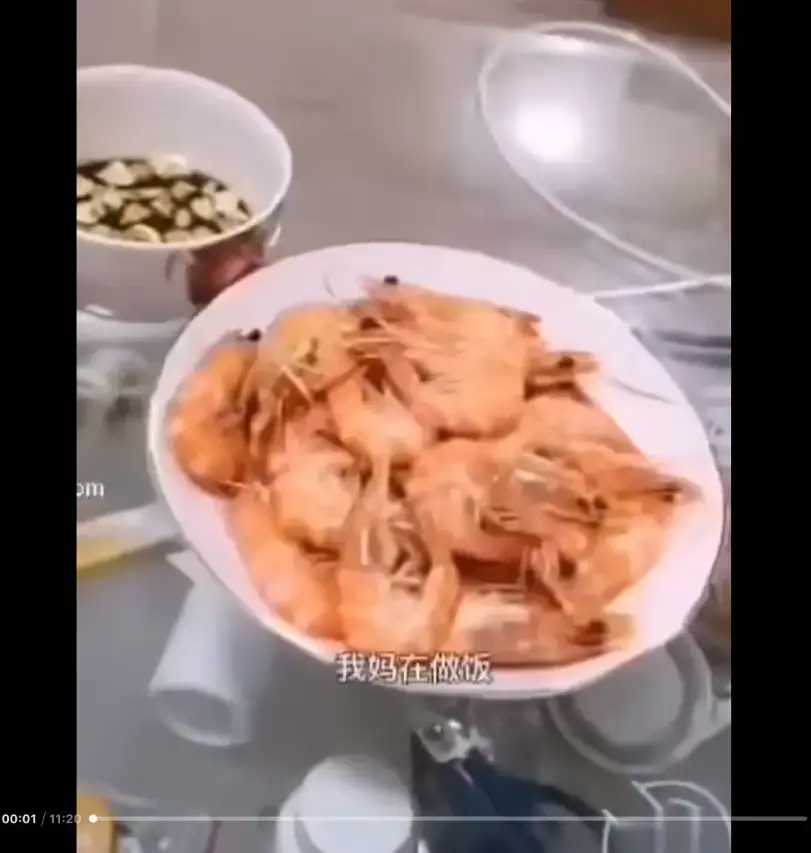 《大虾母子厨房完整版》揭秘猎奇视频梗-高清免费在线观看-全网盘资源下载