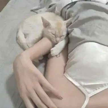 《森泽佳奈》高清全集未删减中文版免费在线观看-无广告网盘资源下载-1080P蓝光画质珍藏版-森泽佳奈年度现象级作品