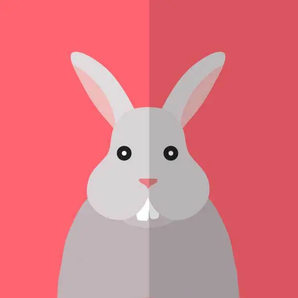 《性课程》韩剧全集同步更新观看-2025性课程高清完整版免费在线-1080P超清无删减版